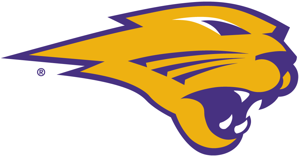 Northern Iowa Panthers 2002-Pres Partial Logo diy fabric transfer